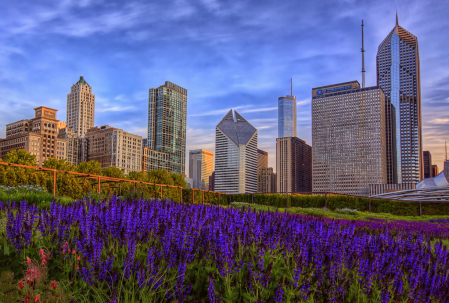 Lurie Gardens
