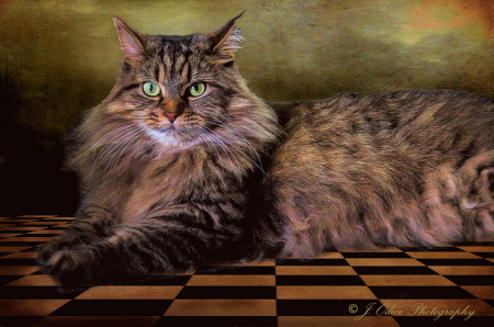 Her Royal Highness