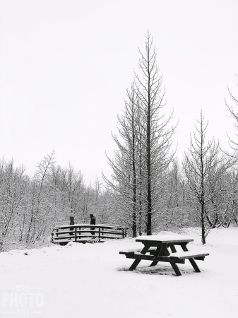 ~ ~ WINTER WONDERLAND ~ ~ 