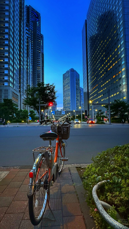 ~ ~ TOKYO AT DUSK ~ ~ 
