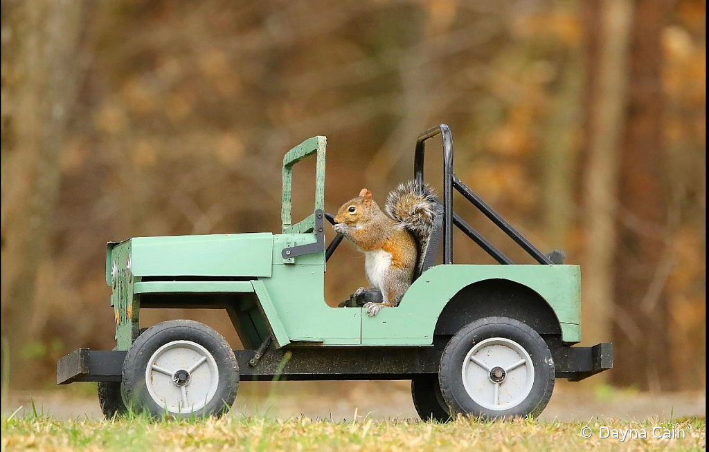 Let’s Ride!