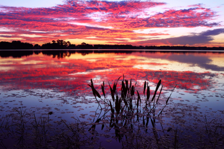 Dwelling in Color