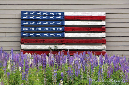 Happy Independence Day!