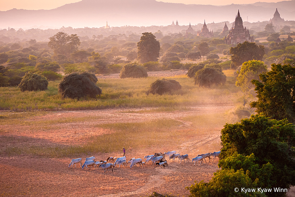 Evening View of Yangon