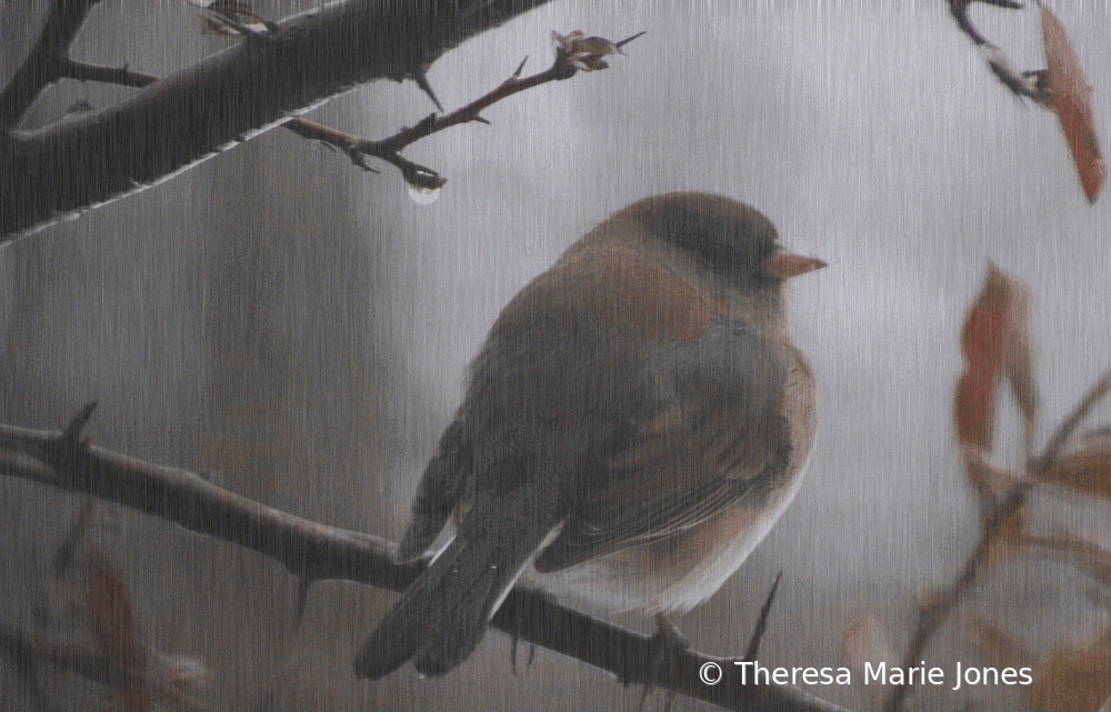 IT'S RAINING