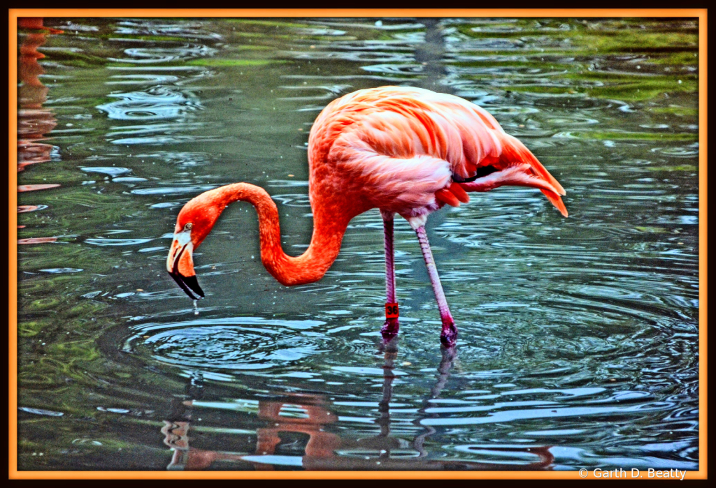 Toledo Zoo Exhibit 