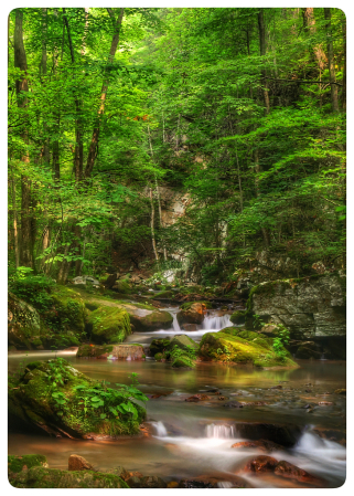 Flow of Life