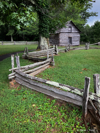 Auntie Doc's Cabin