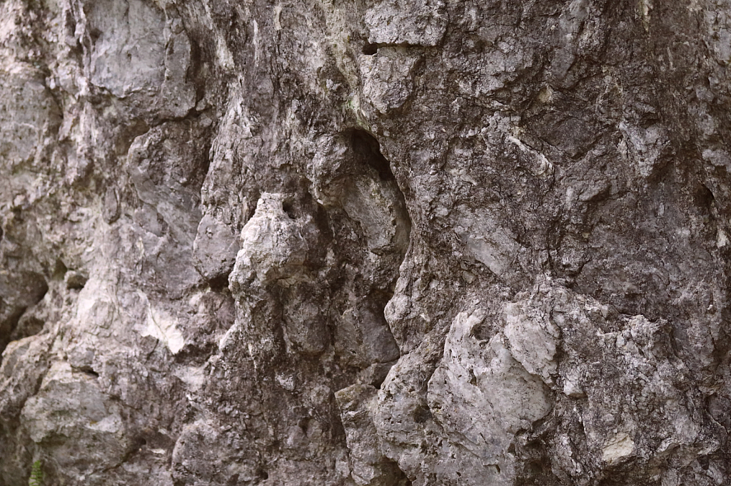 Prehistoric Boulder
