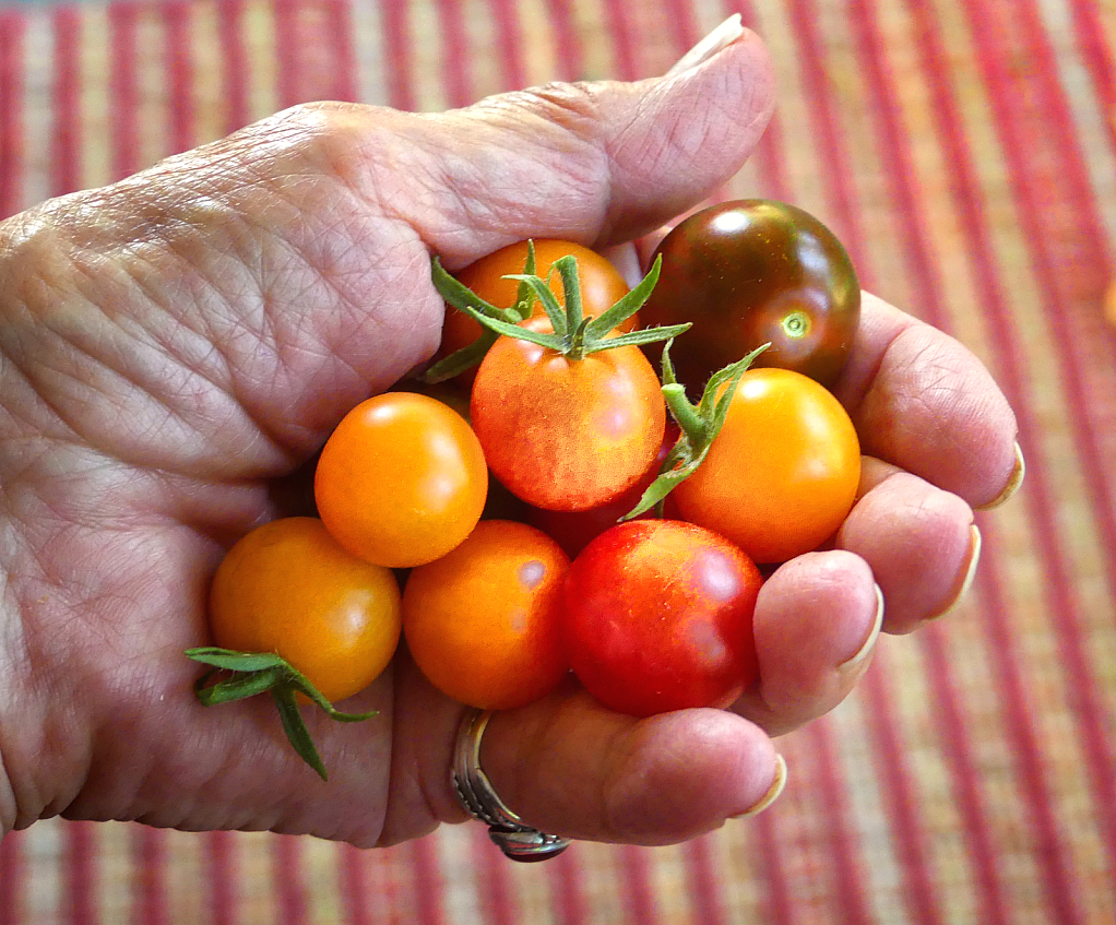 Handful of Summer