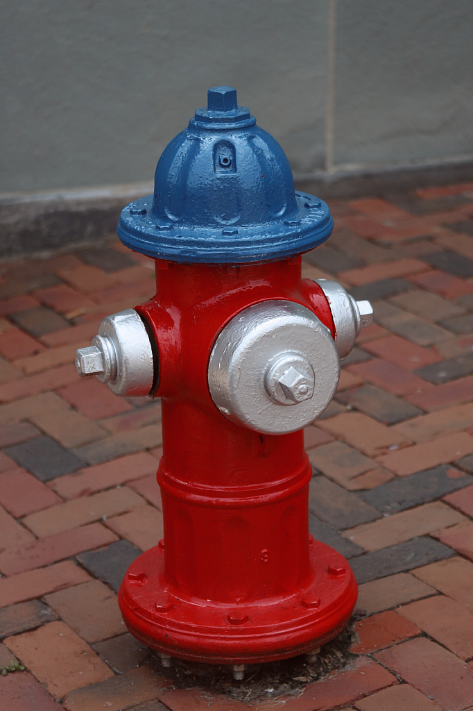 Fire Fghters Little Buddy