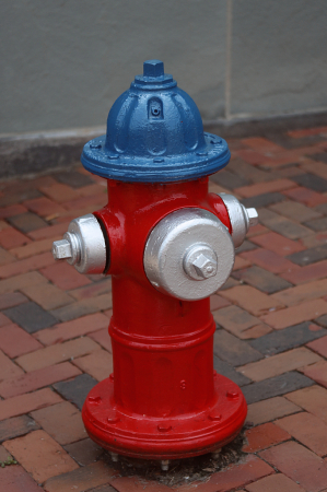 Fire Fghters Little Buddy