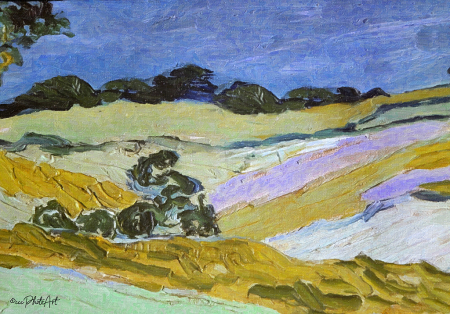 Lines in the Landscape