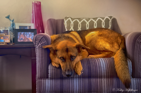 Waiting for Dinner