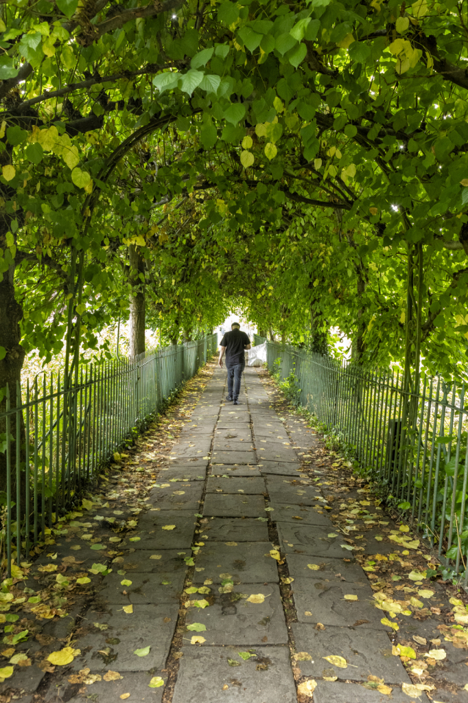 Birdcage Walk
