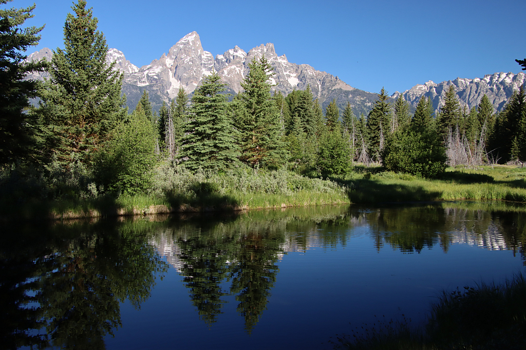 Schwabacher Landing