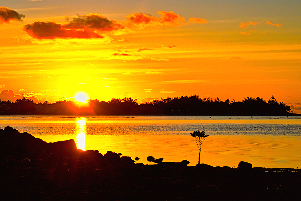 Sunsise in the south