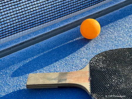 Any one for table tennis?