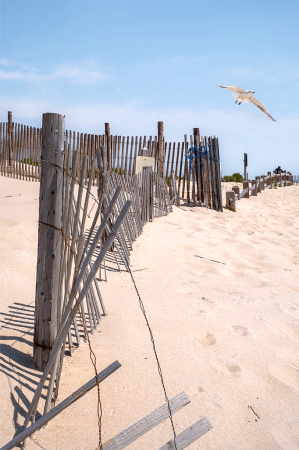At the Jersey Shore