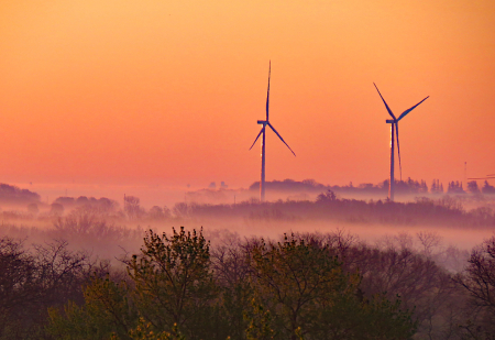 Morning Fog