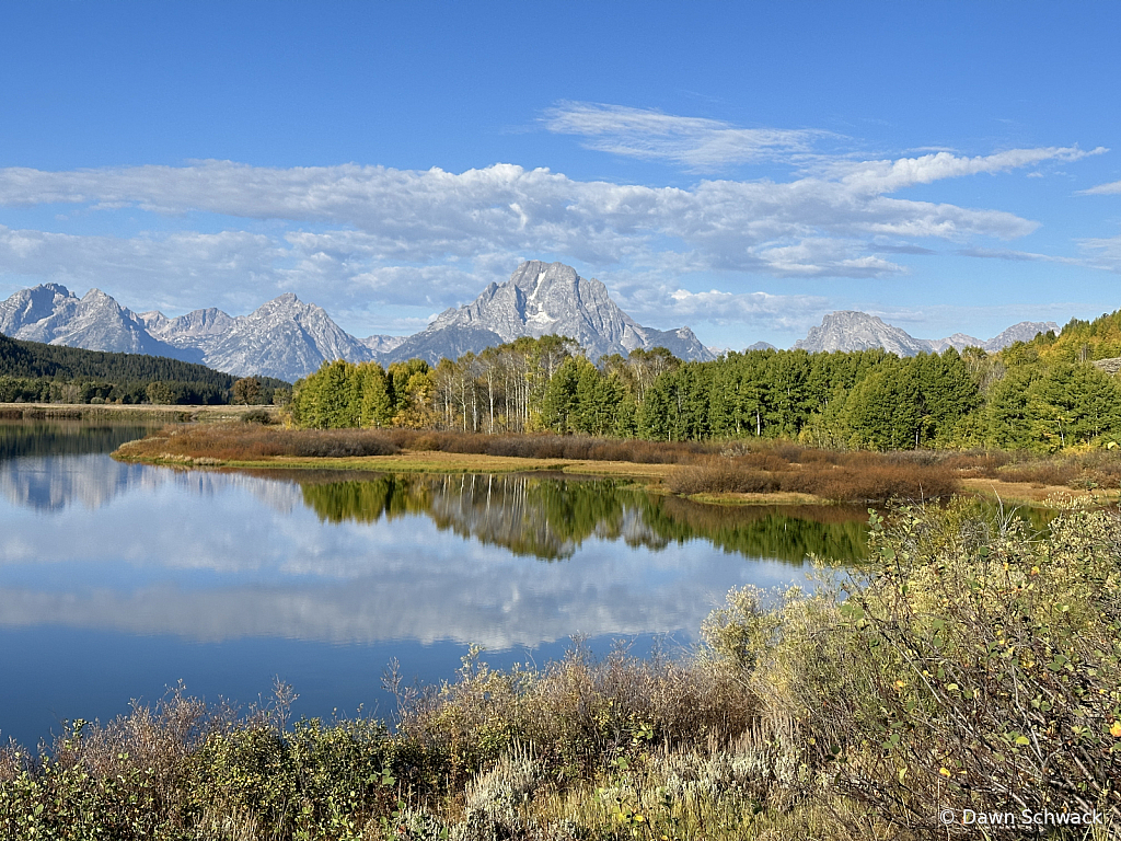 Oxbow  - ID: 16122108 © Dawn Schwack