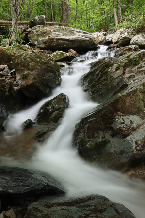 Lower Dark Hollow Falls