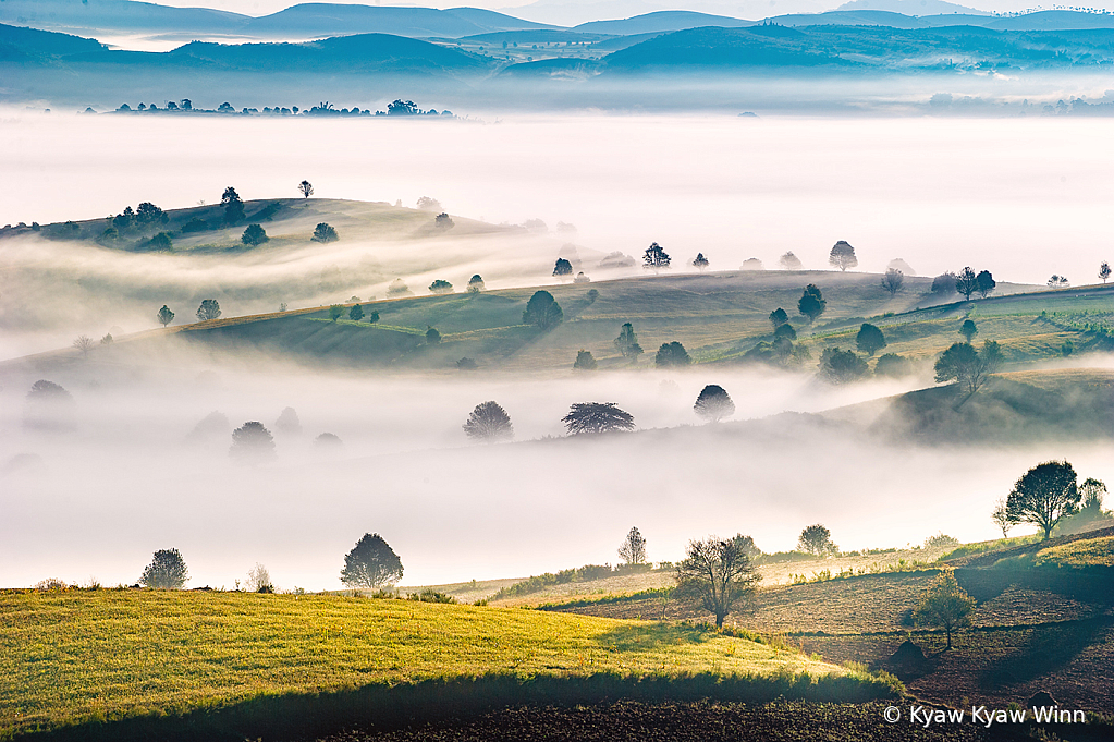 Misty Morning Scene