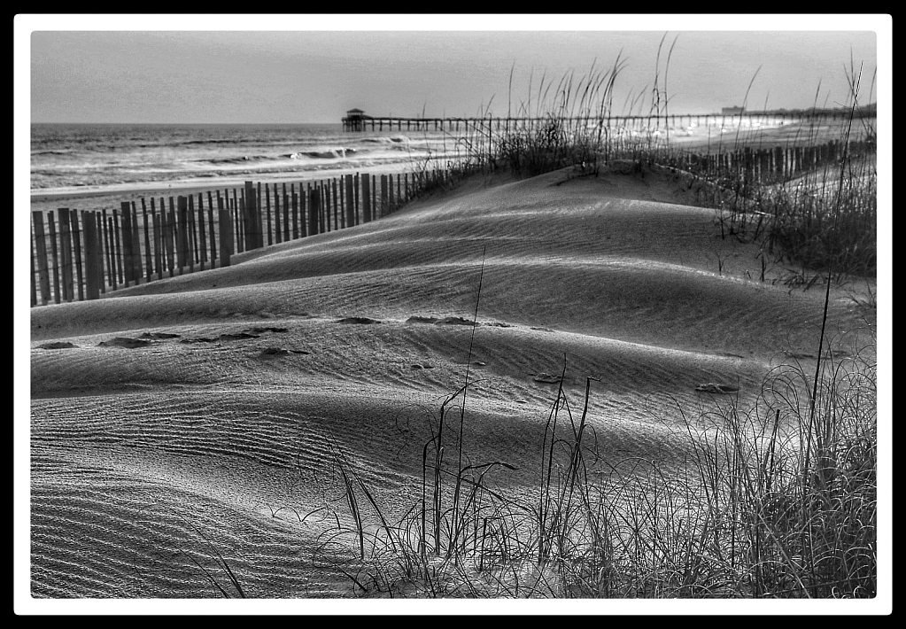 Out On The Banks - Outer Banks, NC