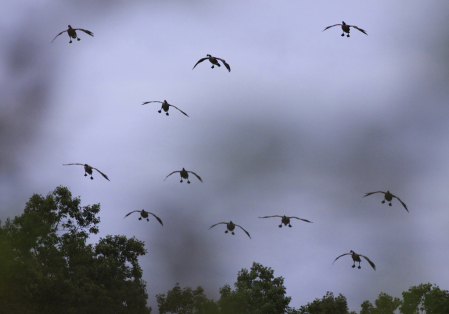 Landing at Dusk