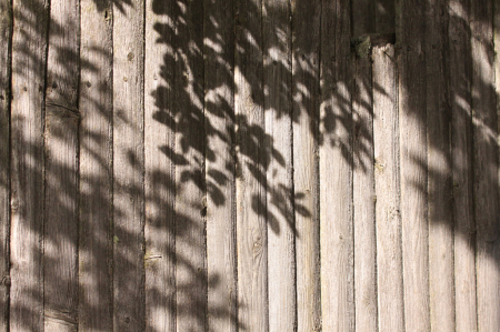 Light, Shadow and Lines