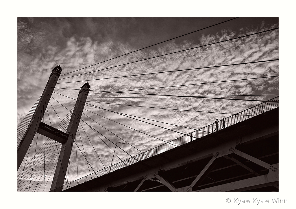 The Lines 