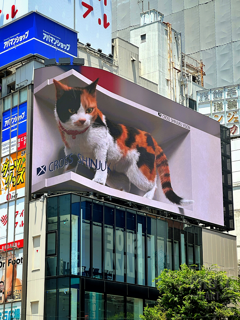 img1