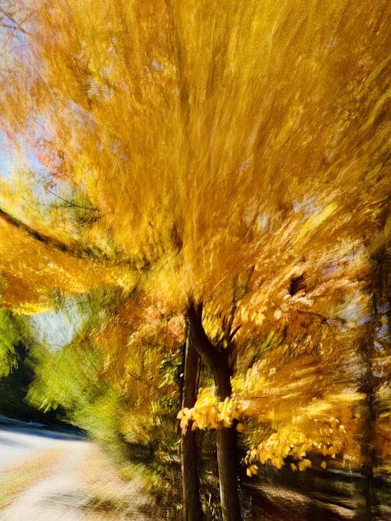 img20