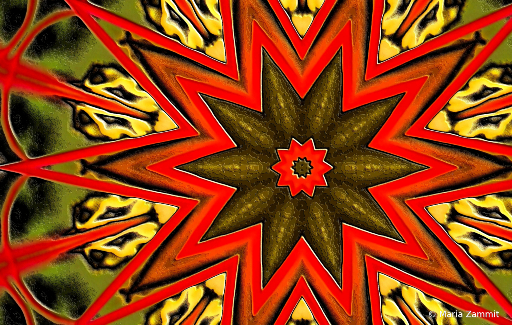 img7