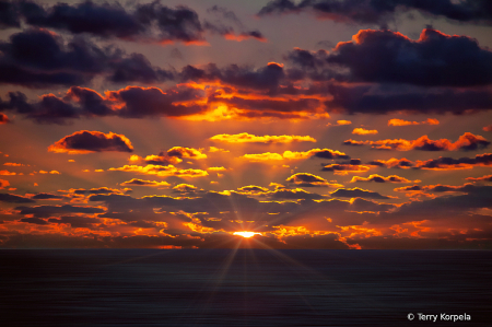 November 2024 Photo Contest 1st Place Prize Winner