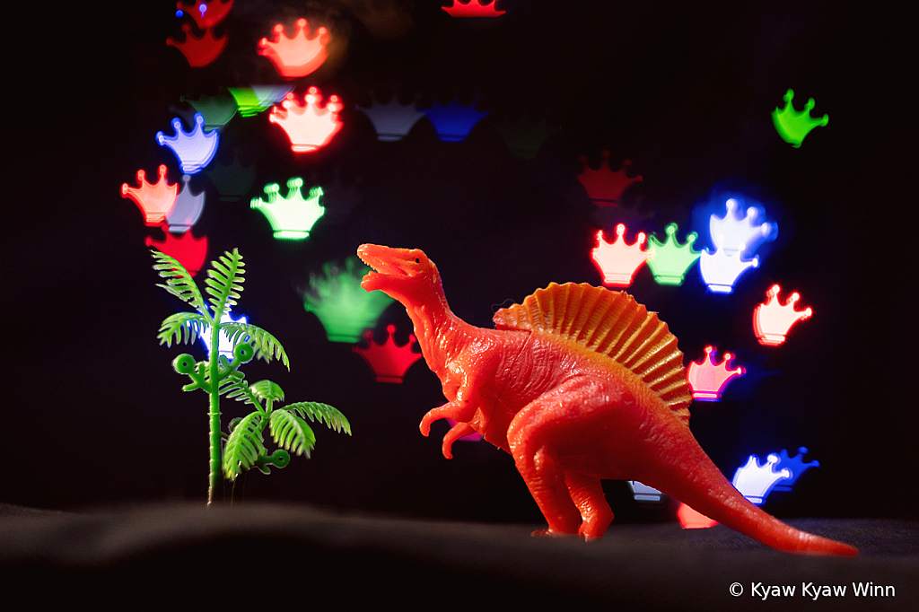 Bokeh