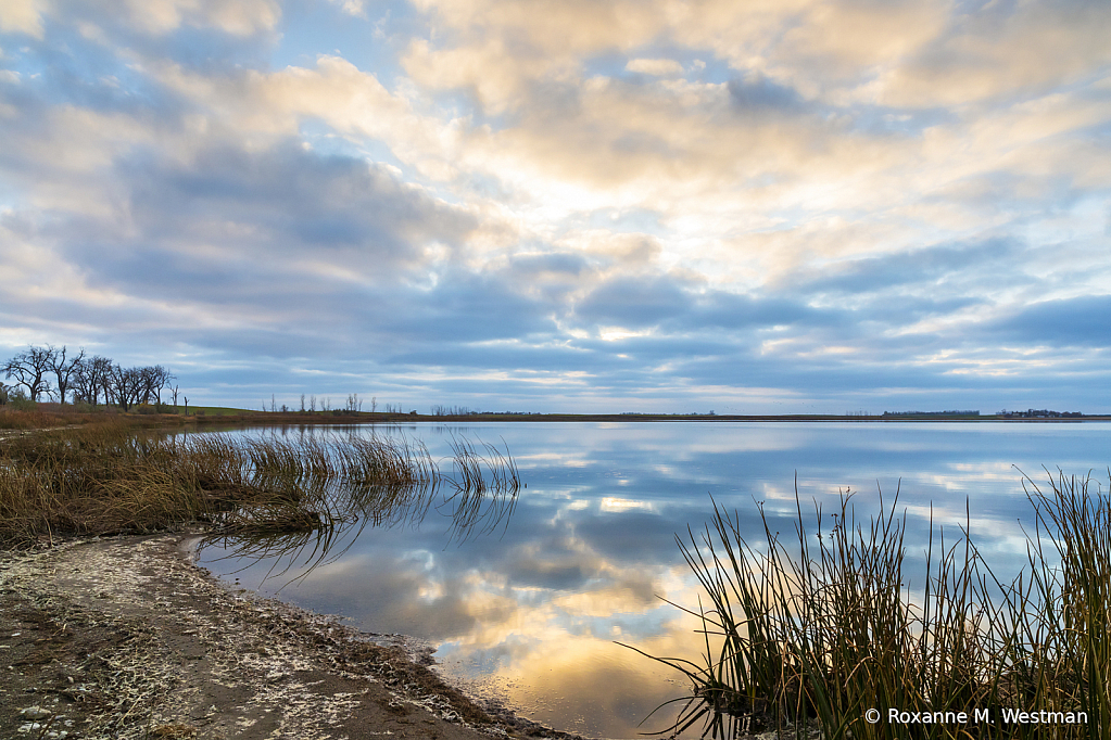 Quiet blue reflections on lake - ID: 16129318 © Roxanne M. Westman