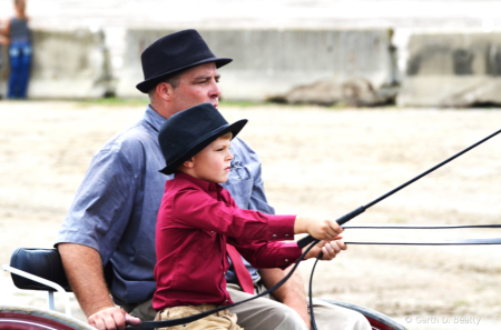 Youngest Driver at the Horse Show