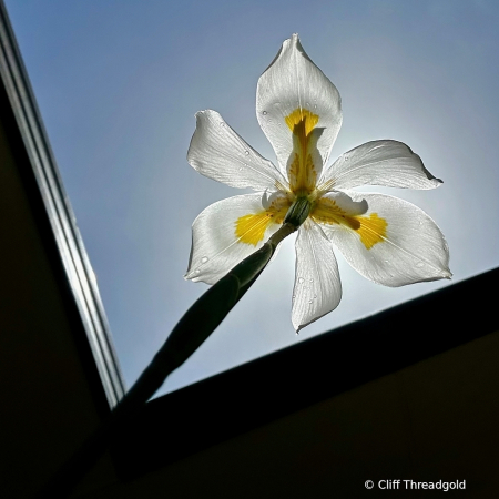 Catching the light