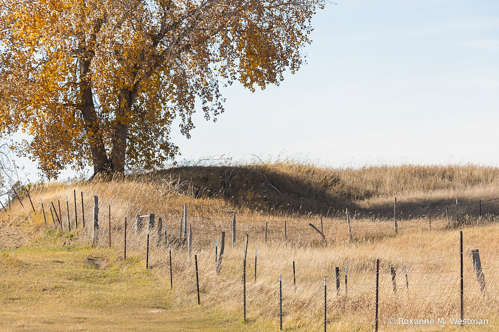 North Dakota fenceline - ID: 16129847 © Roxanne M. Westman