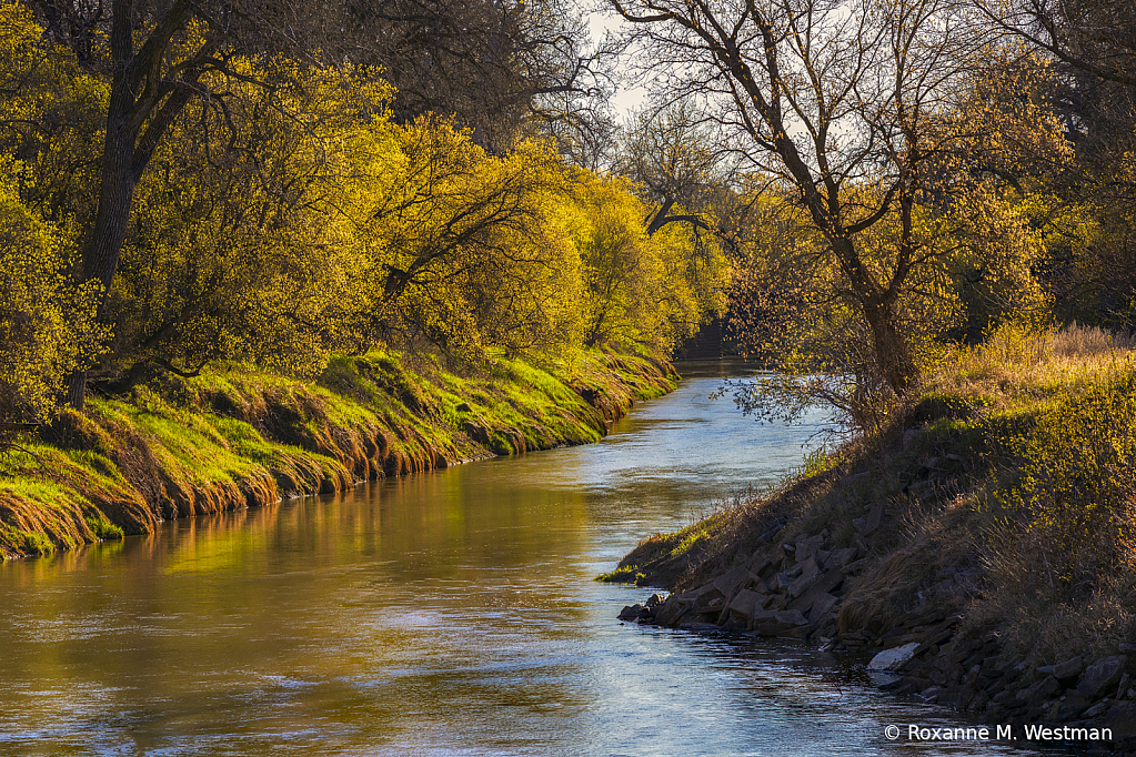 Spring time on the river - ID: 16129840 © Roxanne M. Westman