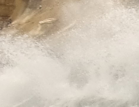 Wave, My Closeup Shot