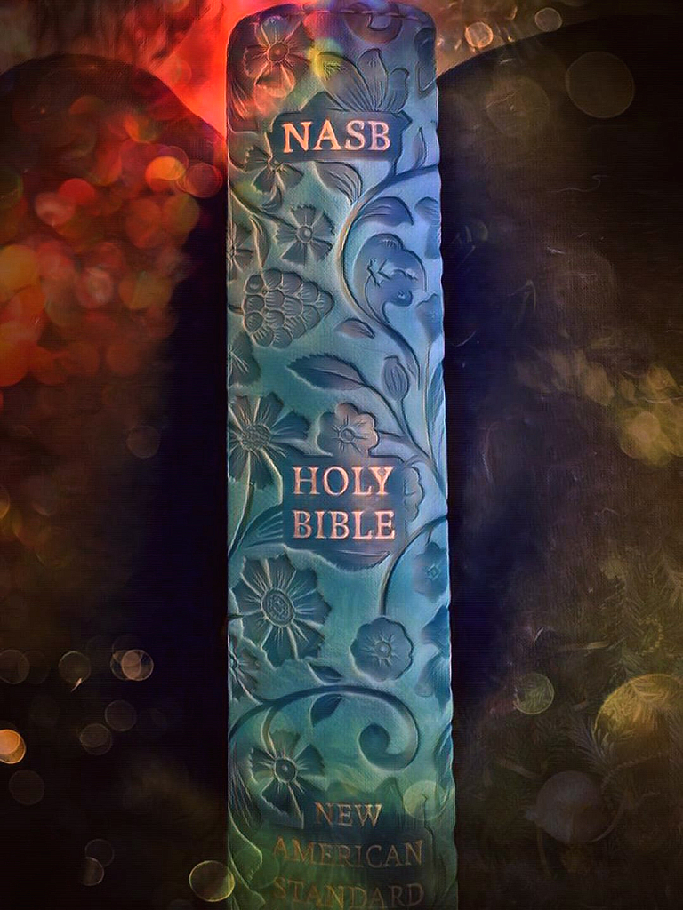 Daily Read 