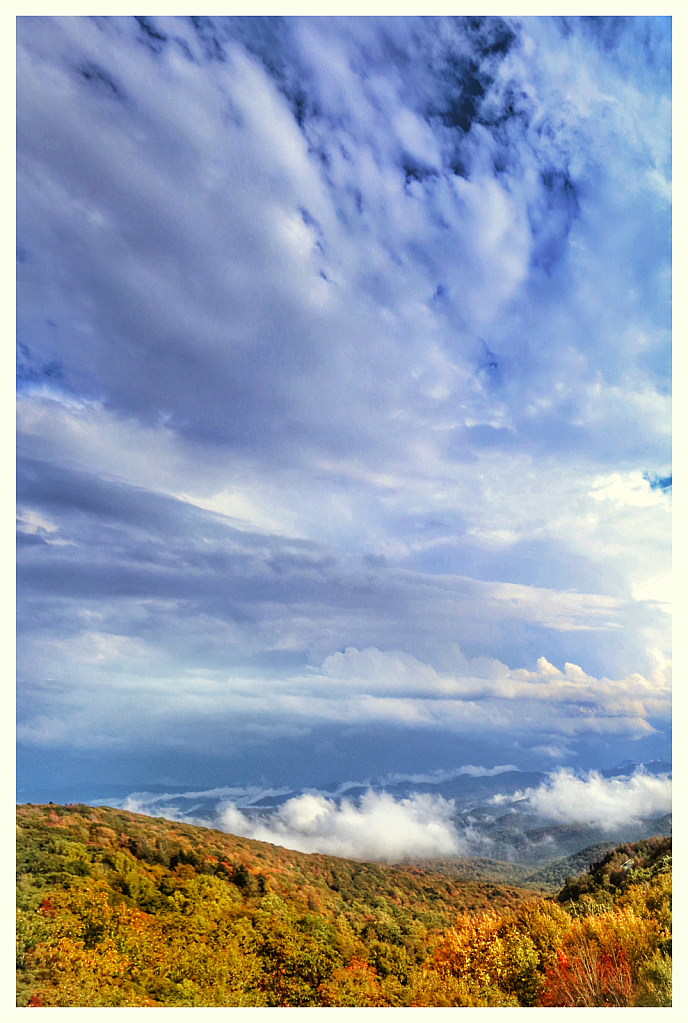 Vista
