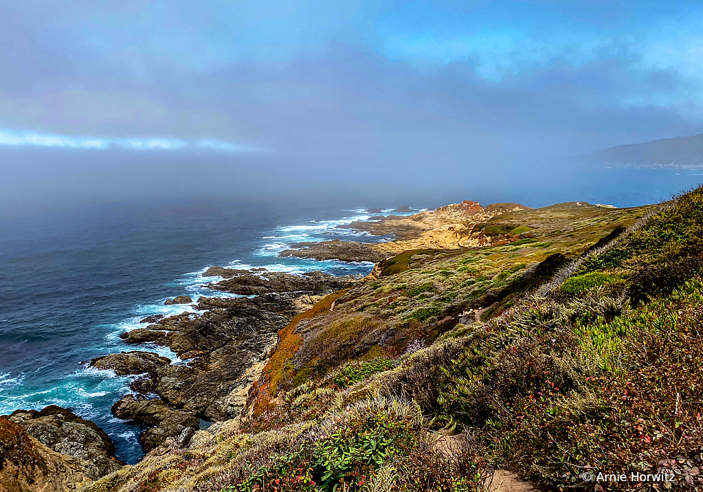 Where Sea Meets Land