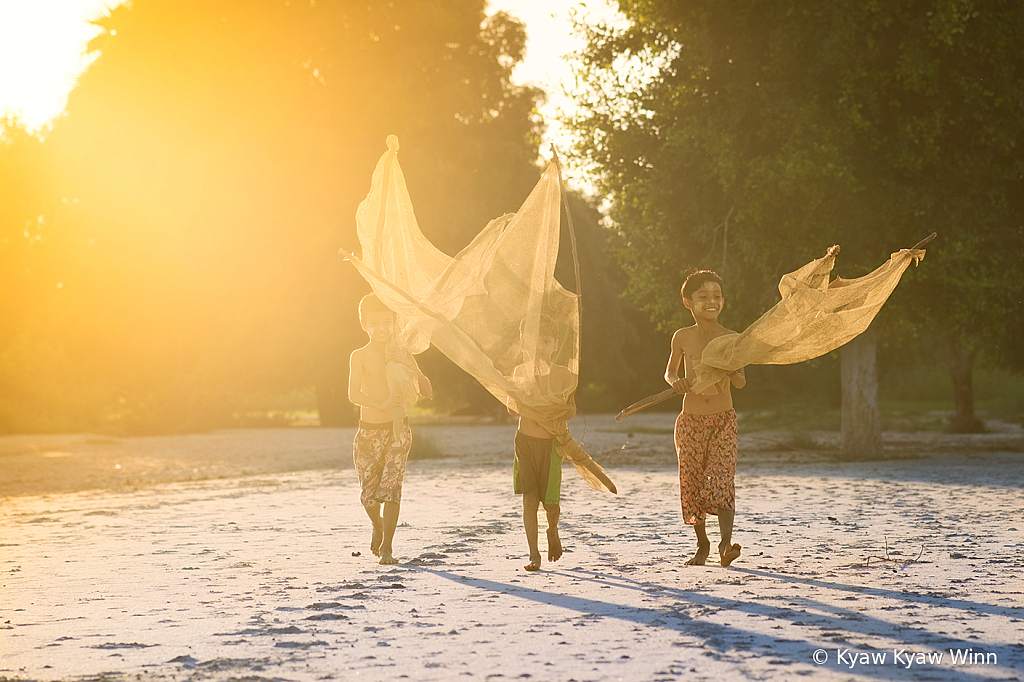 Under the Golden Light