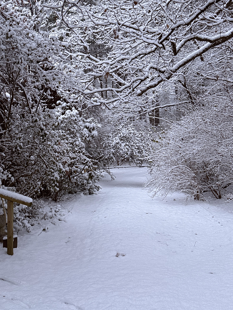 Driveway Covered
