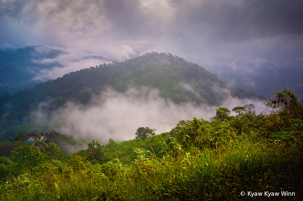 Mist and Mountains 