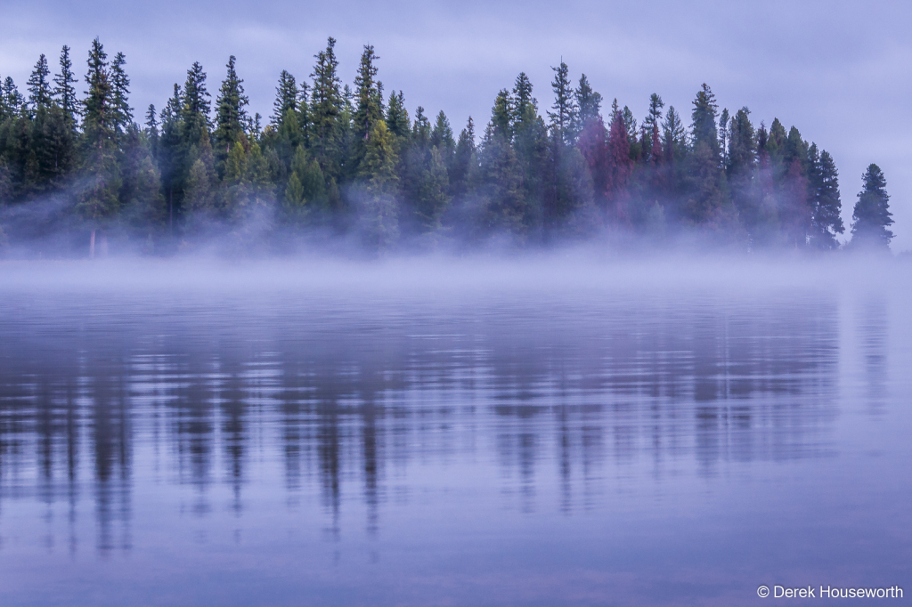Early Morning Mist