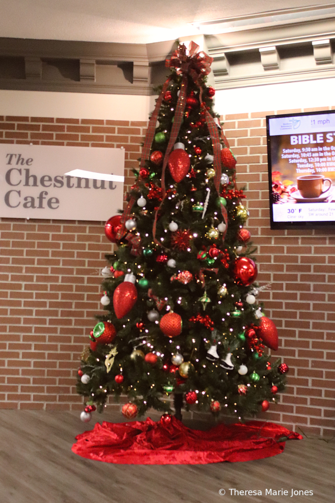 Tree at Chestnut Cafe